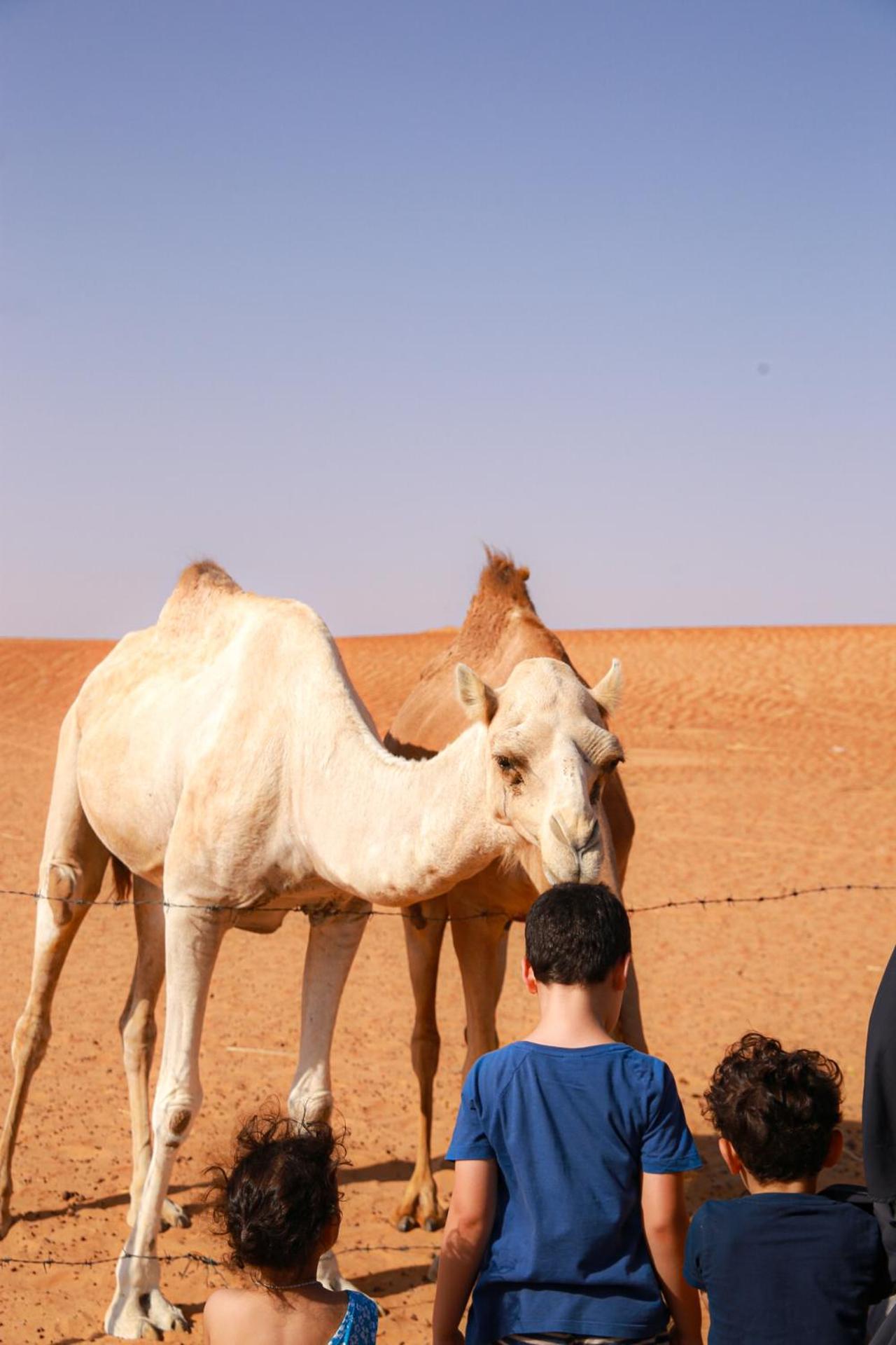 Wahiba Bedouin Rustic Camp Badīyah Exterior foto